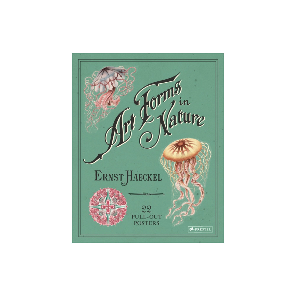 Ernst Haeckel: Art Forms in Nature: 22 Pull-Out Posters (häftad, english) Prestel