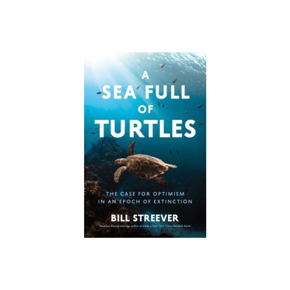 A Sea Full of Turtles (inbunden, english) Pegasus Books