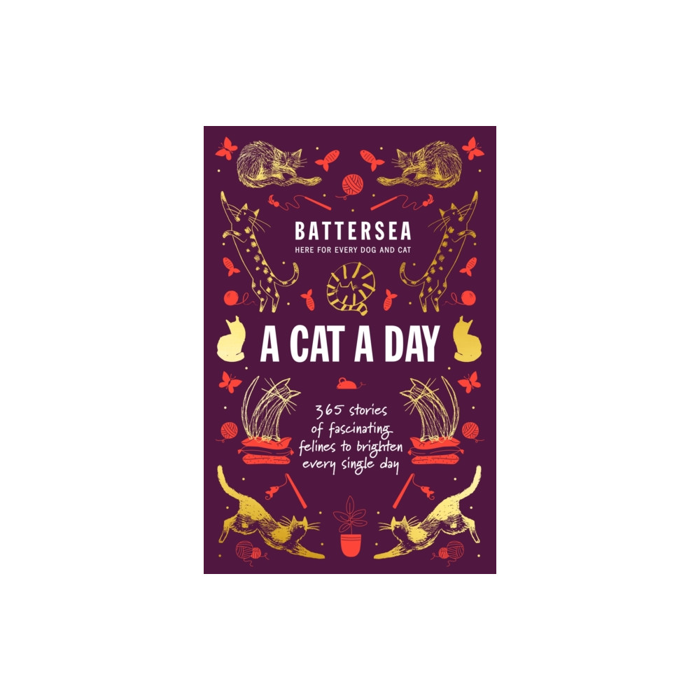 Battersea Dogs and Cats Home - A Cat a Day (inbunden, english) Headline Publishing Group