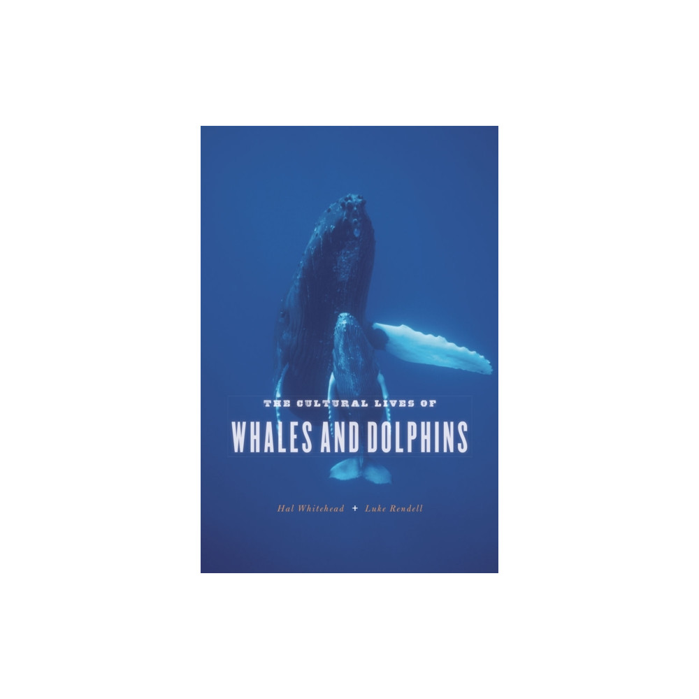 The Cultural Lives of Whales and Dolphins (häftad, english) The university of chicago press