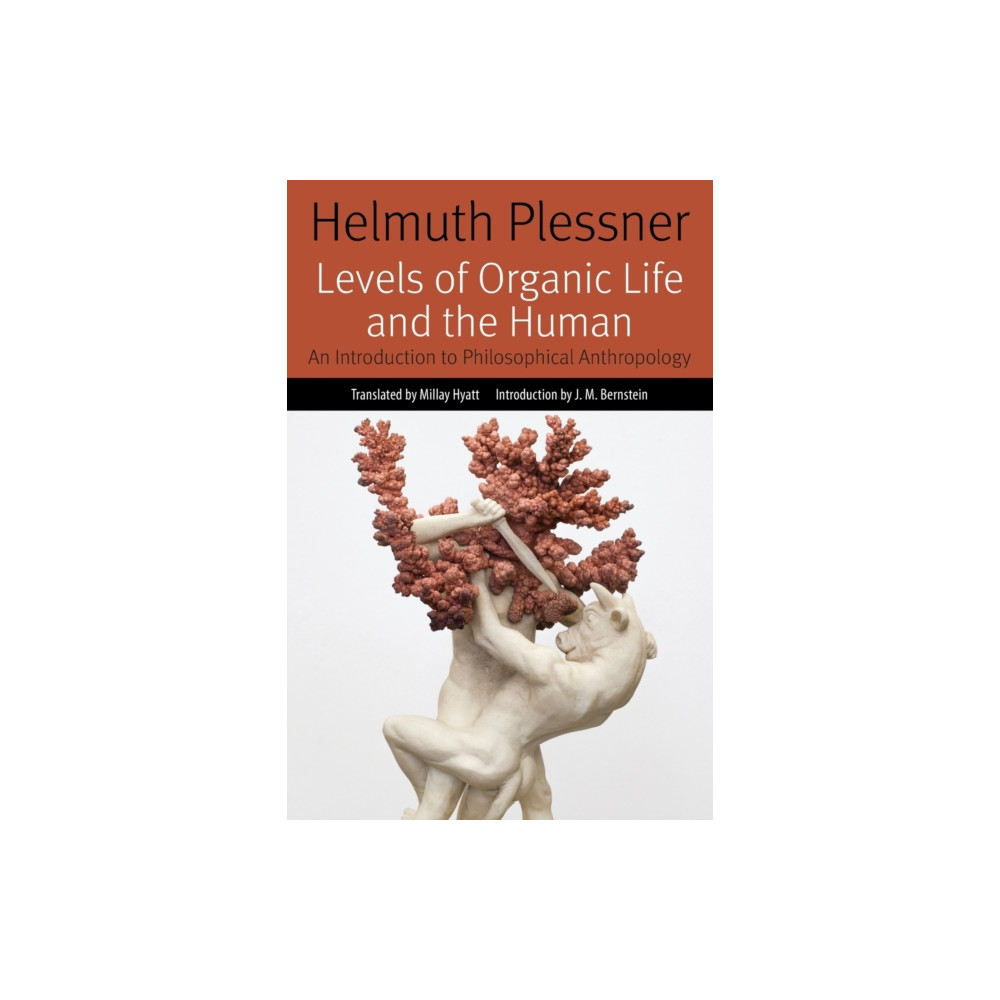 Levels of Organic Life and the Human (häftad, english) Fordham university press