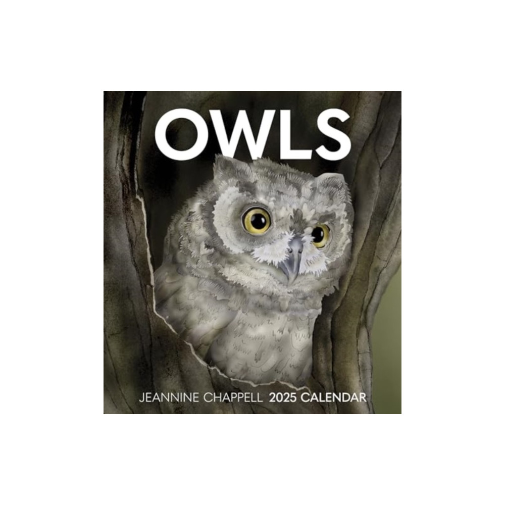 Owls (häftad, english) Pomegranate