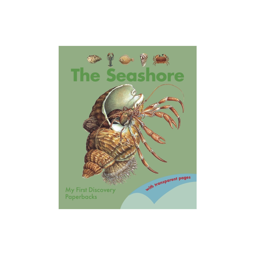 The Seashore (häftad, english) Moonlight Publishing Ltd