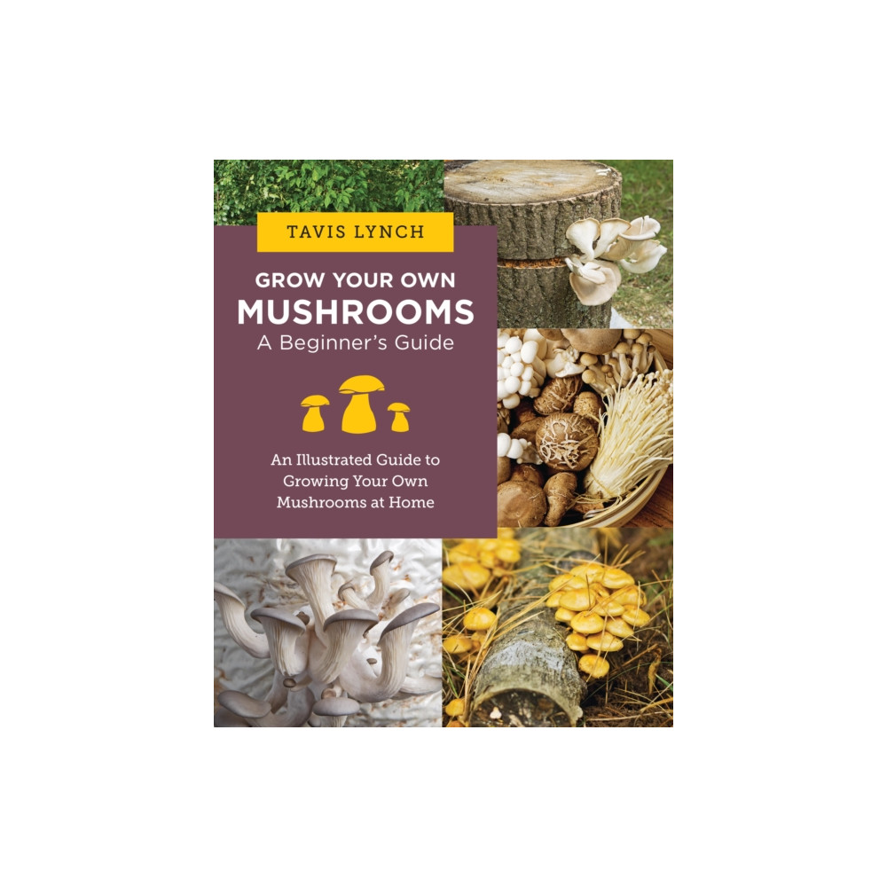 Grow Your Own Mushrooms: A Beginner's Guide (häftad, english) New Shoe Press