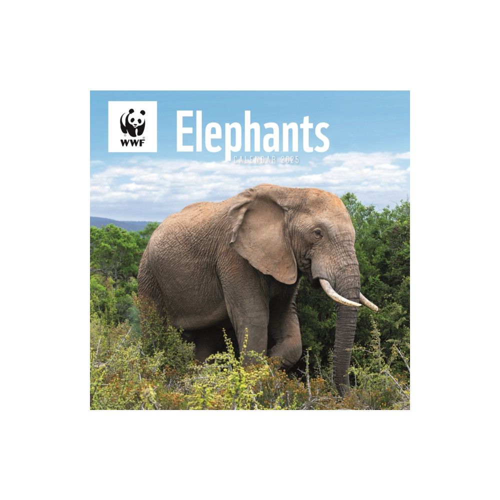 WWF Elephants Square Wall Calendar 2025 (häftad, english) Carousel Calendars
