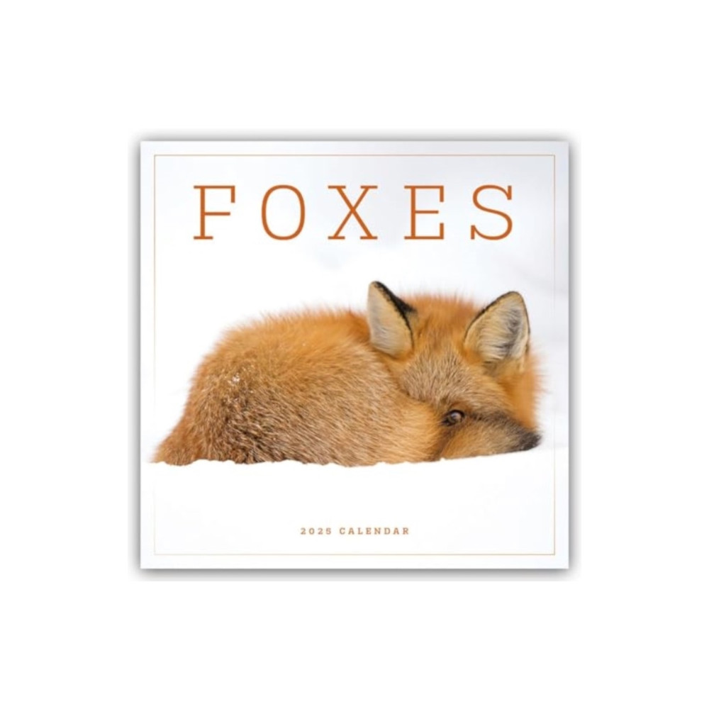 Foxes Square Wall Calendar 2025 (häftad, english) Carousel Calendars