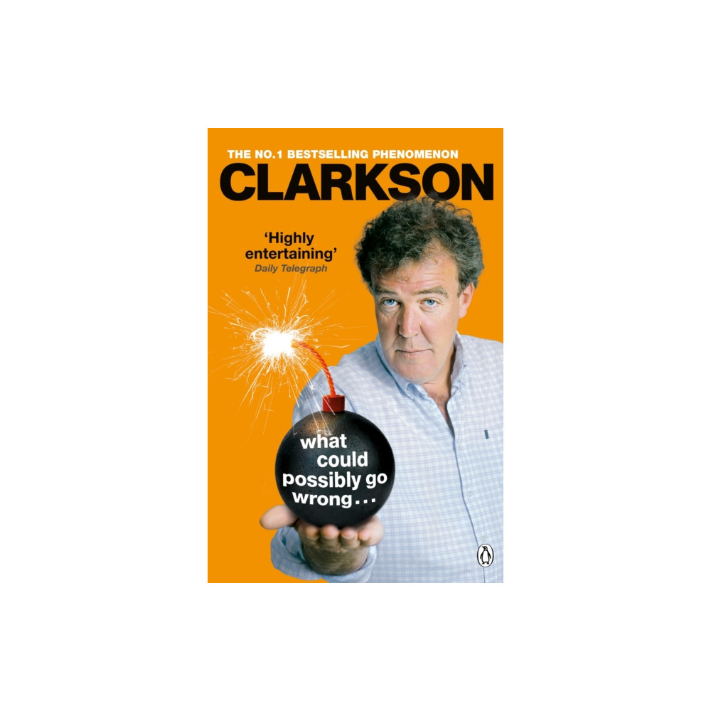 What Could Possibly Go Wrong. . . (häftad, english) Penguin books ltd