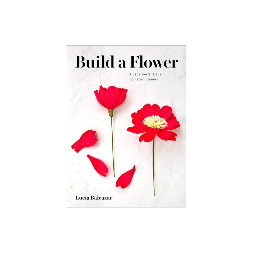 Build a Flower (häftad, english) Abrams