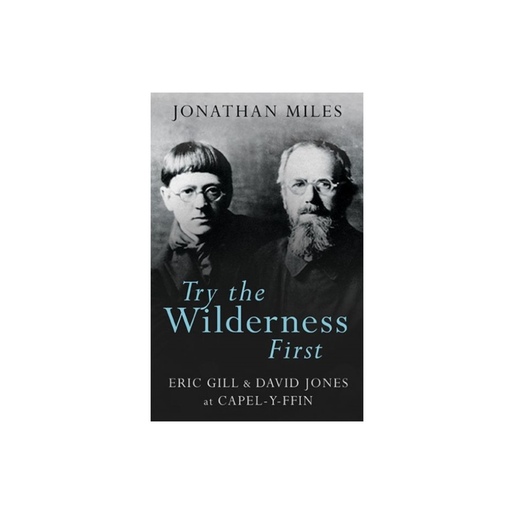 Try the Wilderness First (häftad, english) Poetry Wales Press