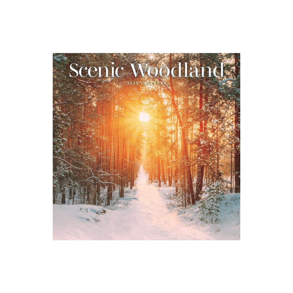 Scenic Woodland Square Wall Calendar 2025 (häftad, english) Carousel Calendars
