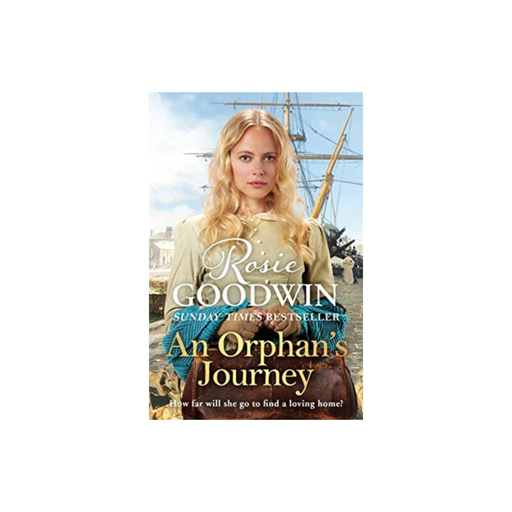 An Orphan's Journey (häftad, english) Zaffre