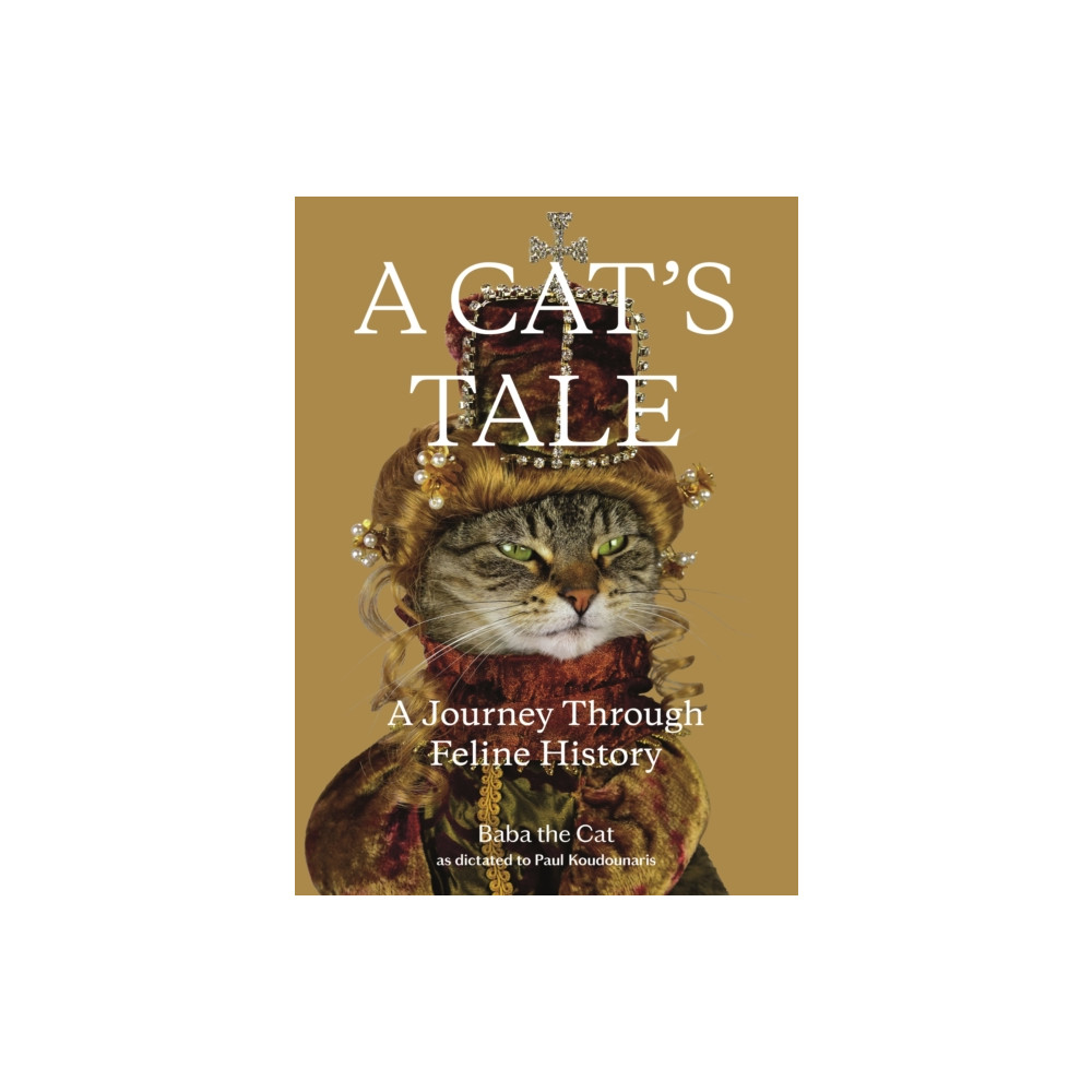 A Cat's Tale (inbunden, english) Henry Holt & Company Inc