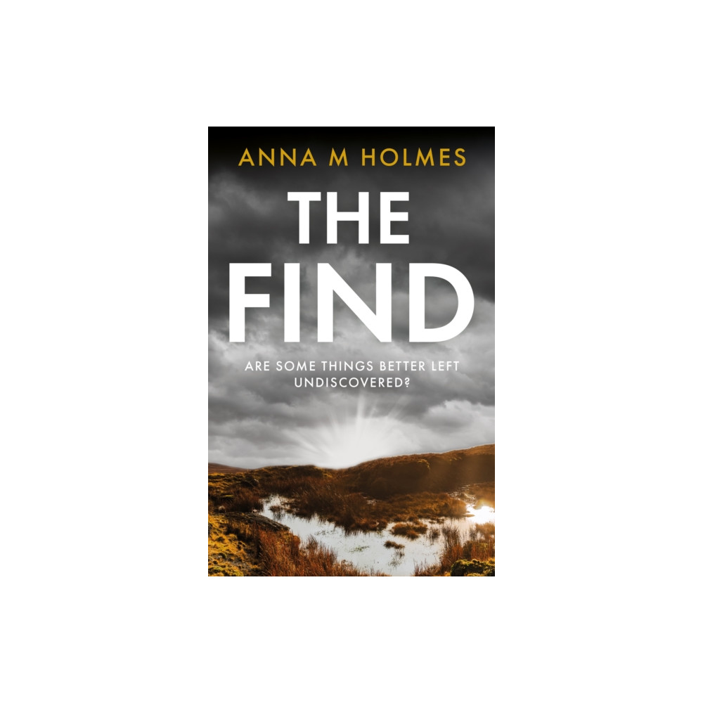 The Find (häftad, english) The Book Guild Ltd