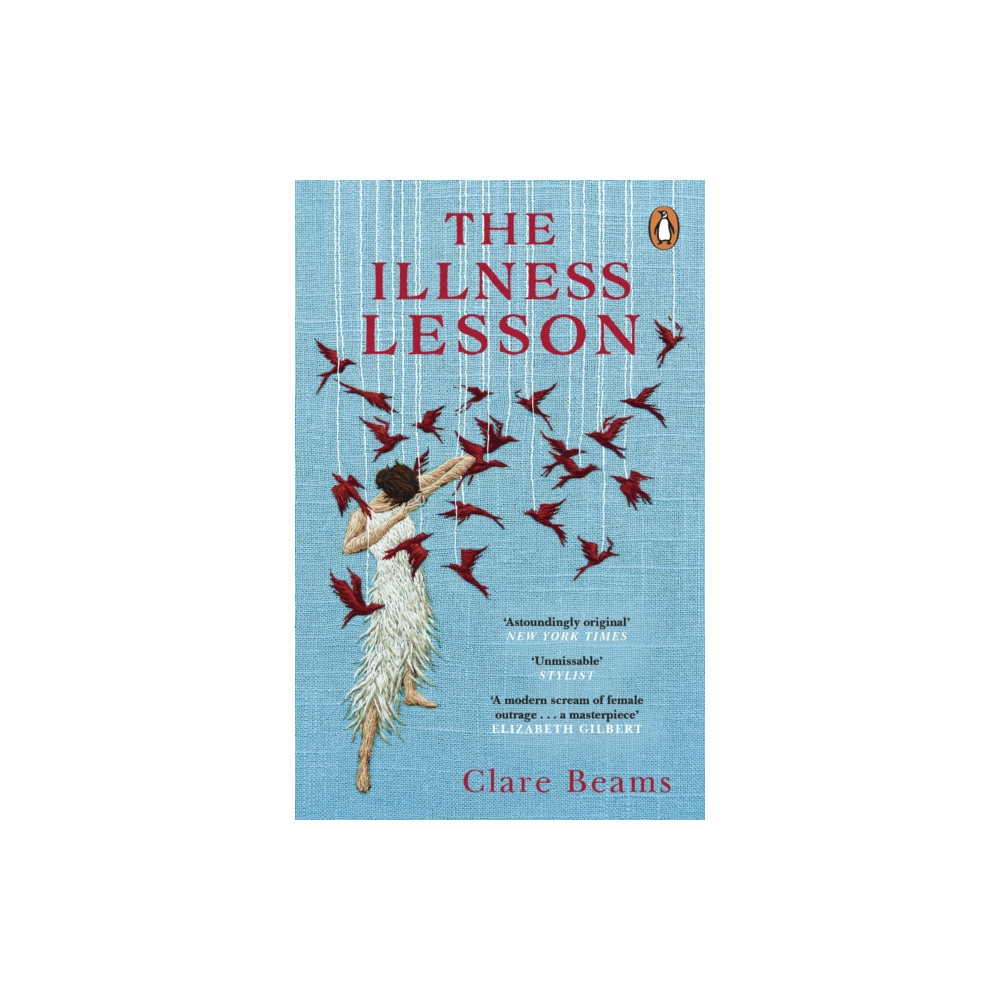 The Illness Lesson (häftad, english) Transworld publishers ltd
