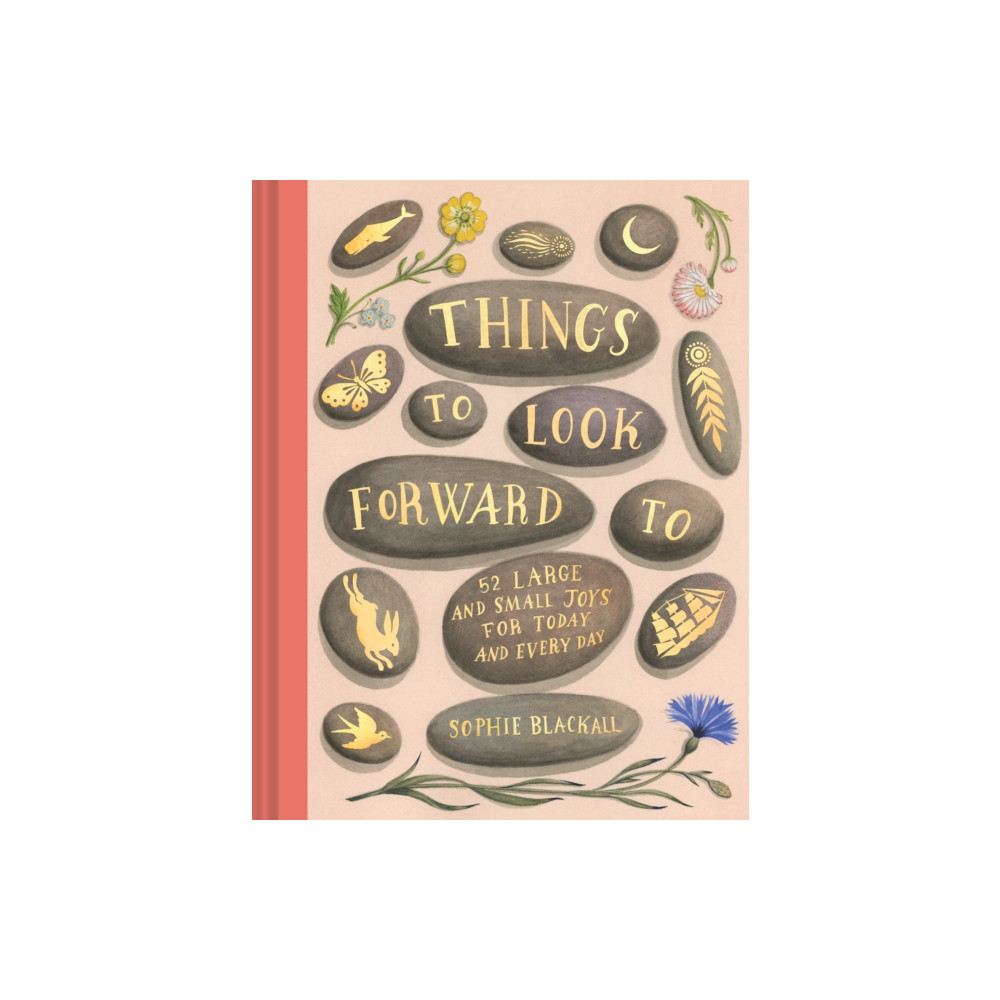 Things to Look Forward To (inbunden, english) Chronicle Books