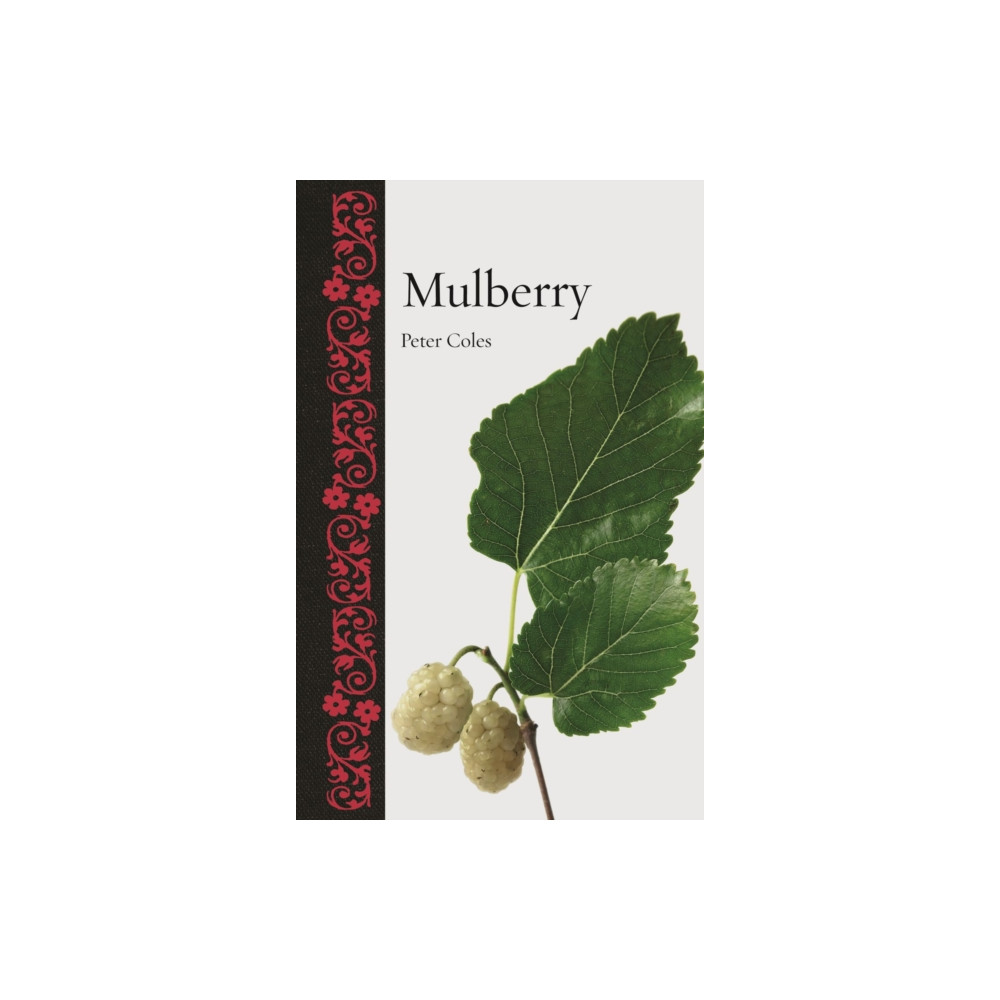 Mulberry (inbunden, english) Reaktion Books