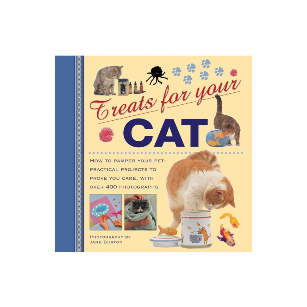 Treats for Your Cat (inbunden, english) Anness publishing