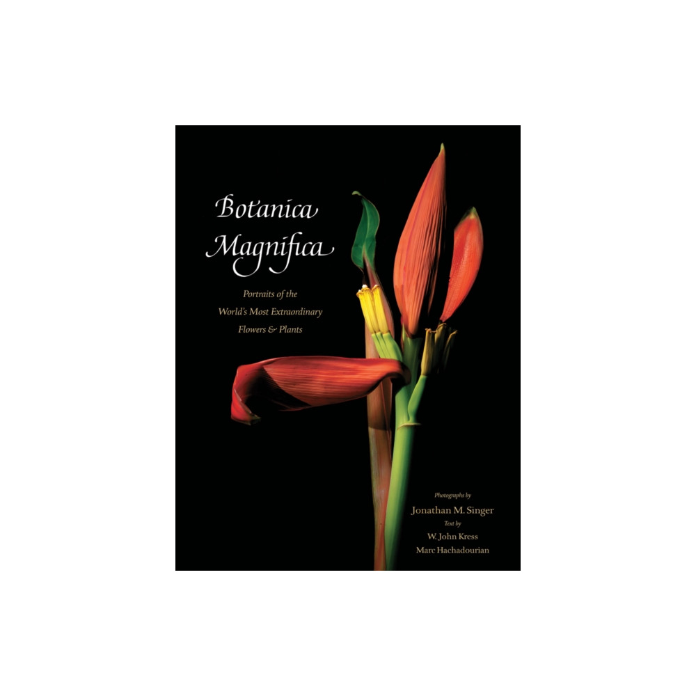 Botanica Magnifica: Portraits of the World's Most Extraordinary Flowers and Plants (inbunden, english) Abbeville Press Inc.,U.S.
