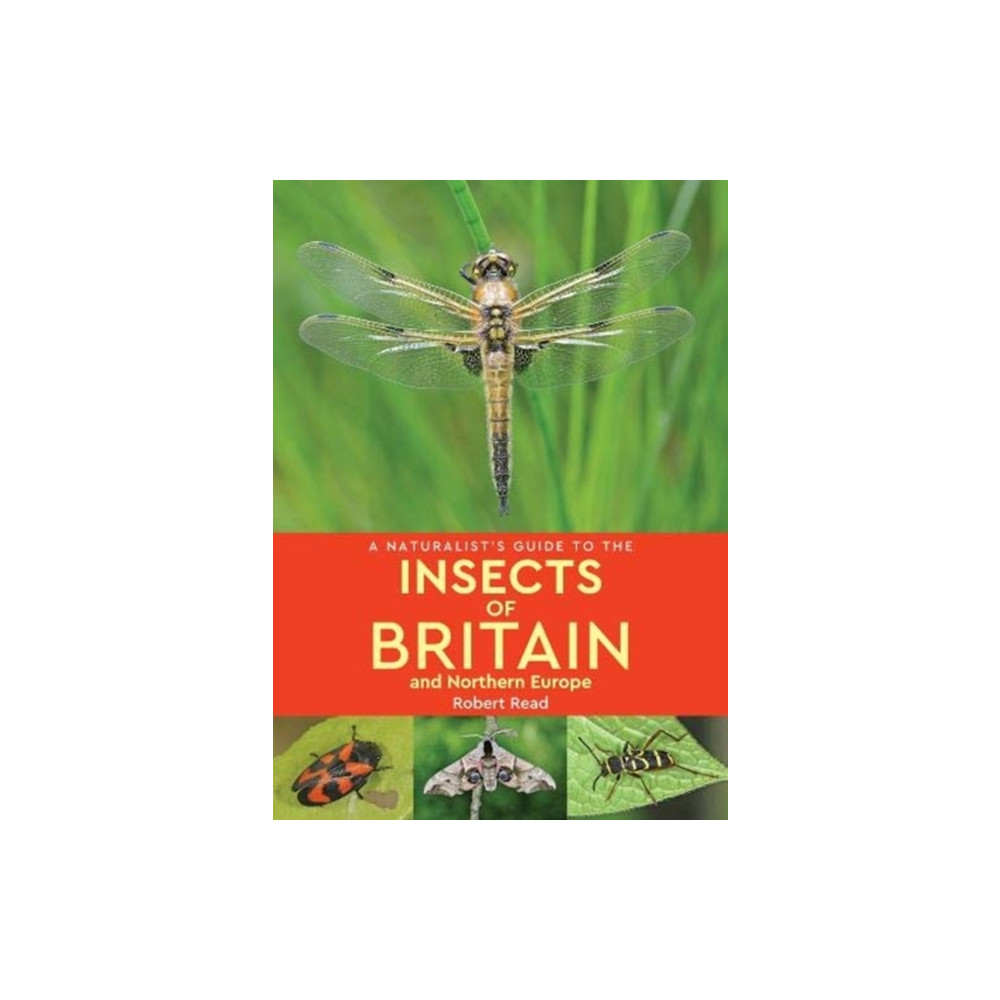 A Naturalist's Guide to the Insects of Britain and Northern Europe (2nd edition) (häftad, english) John Beaufoy Publishing Ltd