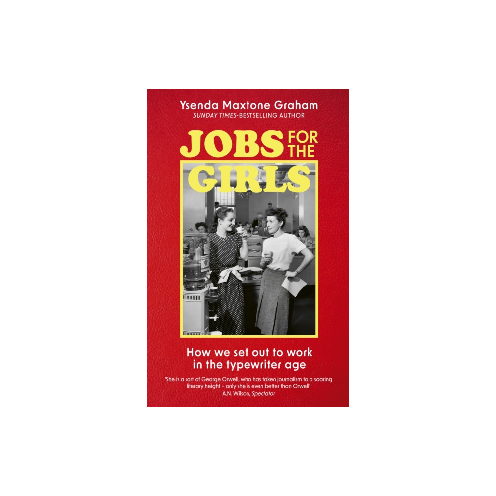 Jobs for the Girls (häftad, english) Little, Brown Book Group