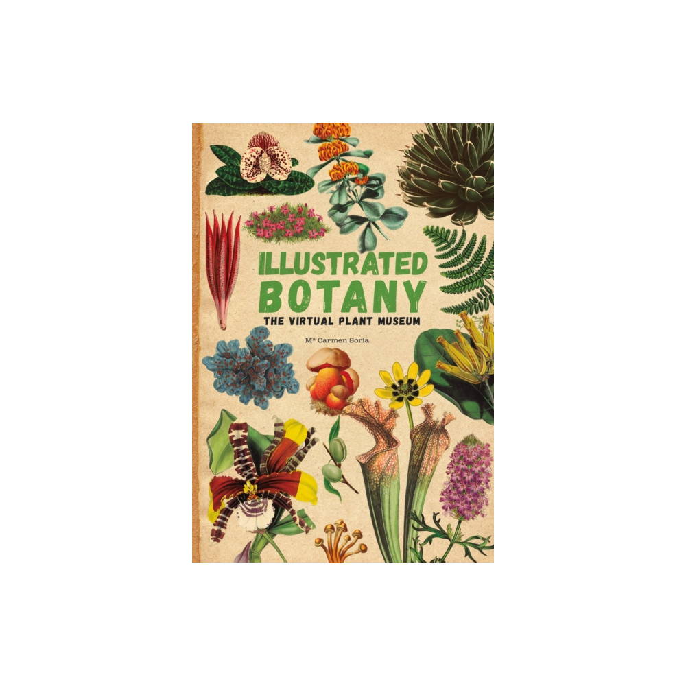 Illustrated Botany (inbunden, english) Hachette Children's Group