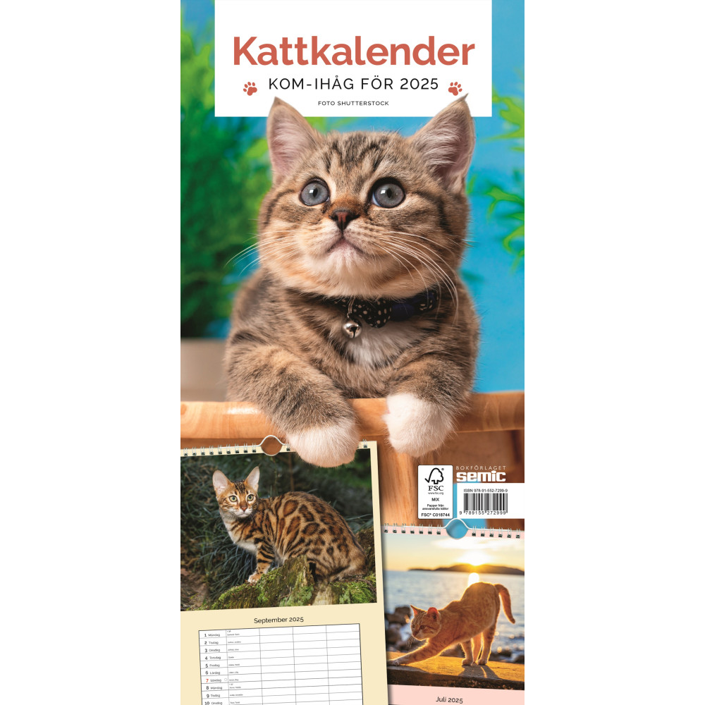 Kattkalender 2025 (bok, spiral) Bokförlaget Semic