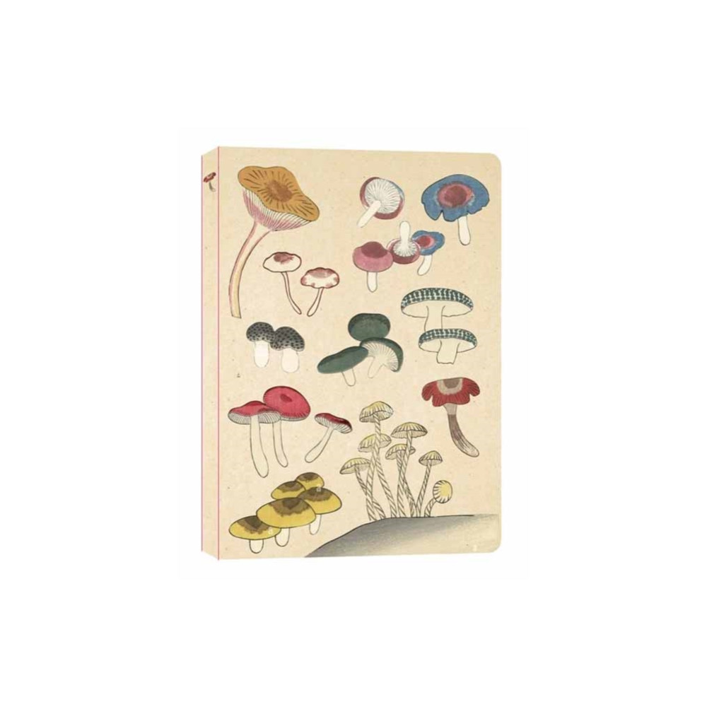 Healing Mushrooms Lined Paperback Journal (häftad, english) Tuttle Publishing