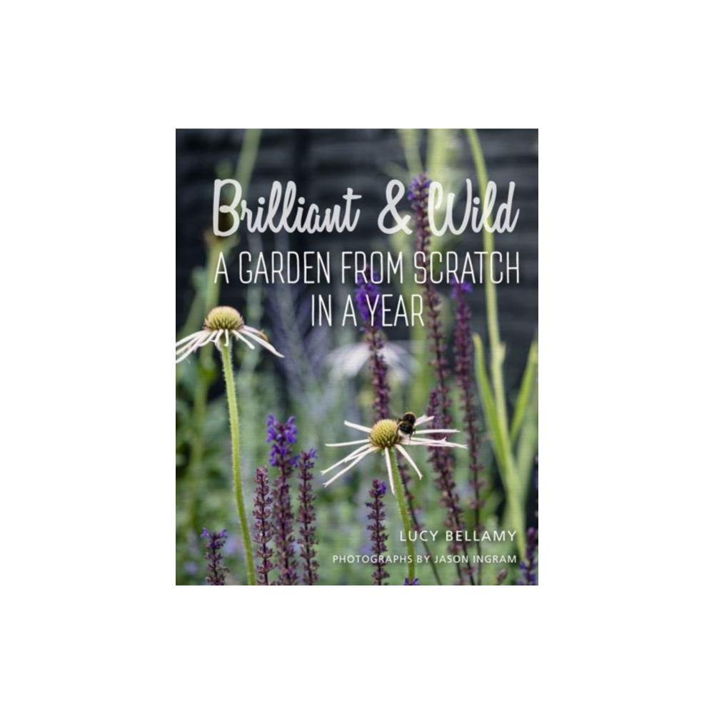 Brilliant and Wild (inbunden, english) Gemini Books Group Ltd