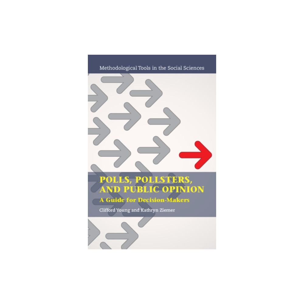 Polls, Pollsters, and Public Opinion (häftad, english) Cambridge University Press