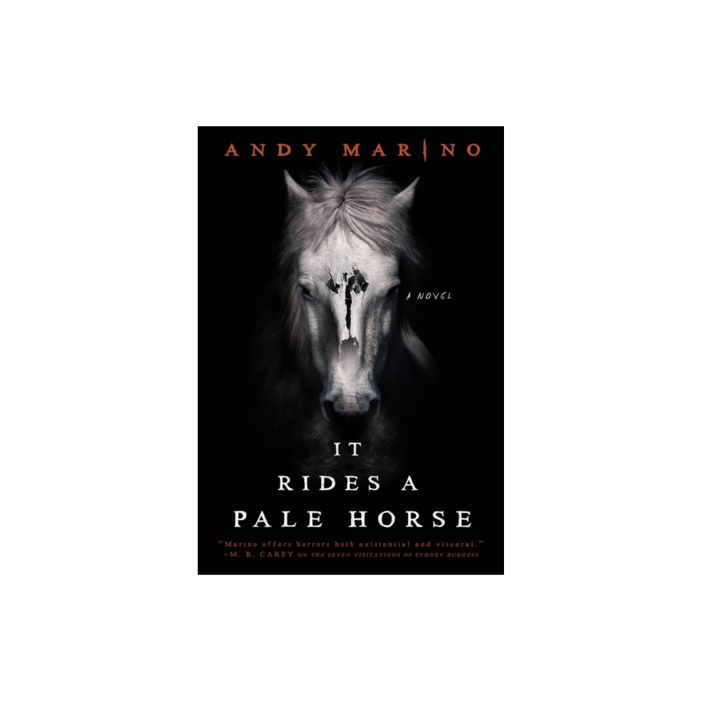 It Rides a Pale Horse (häftad, english) Little, Brown & Company