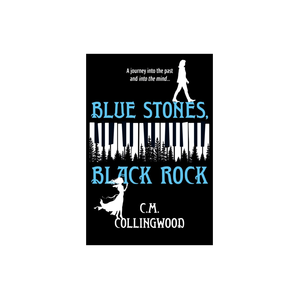 Blue Stones, Black Rock (häftad, english) Troubador Publishing
