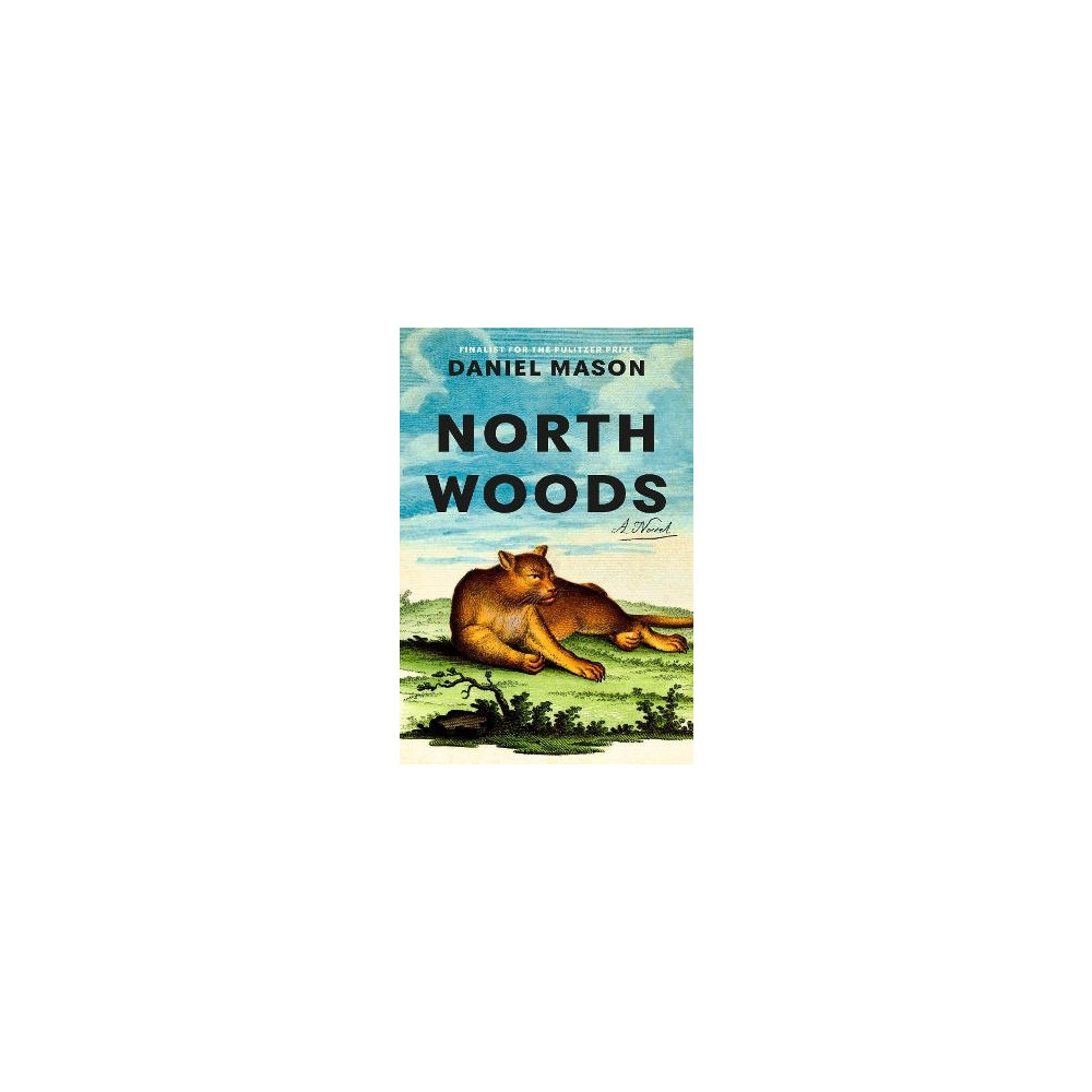 North Woods (häftad, english) Daniel Mason