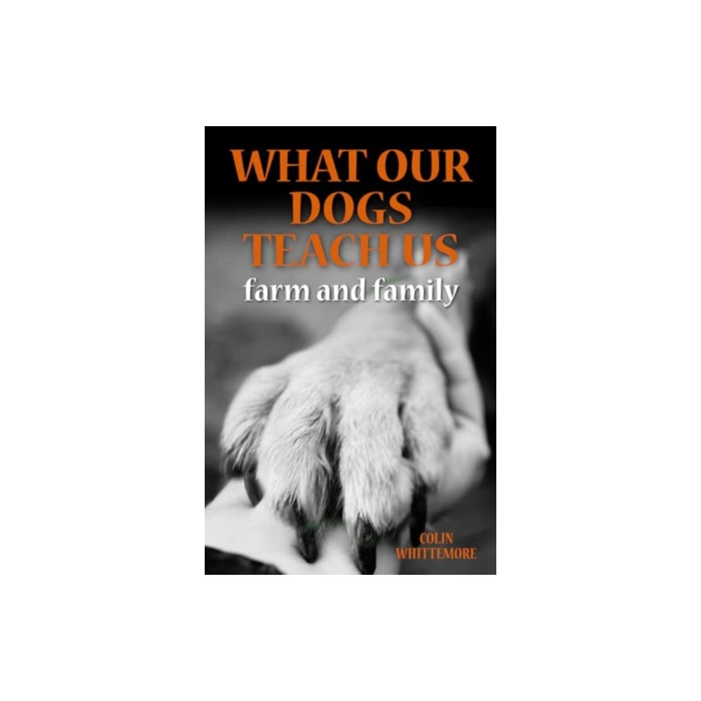 What Our Dogs Teach Us (inbunden, english) Merlin Unwin Books