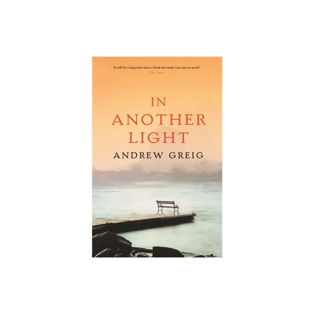 In Another Light (häftad, english) Orion Publishing Co
