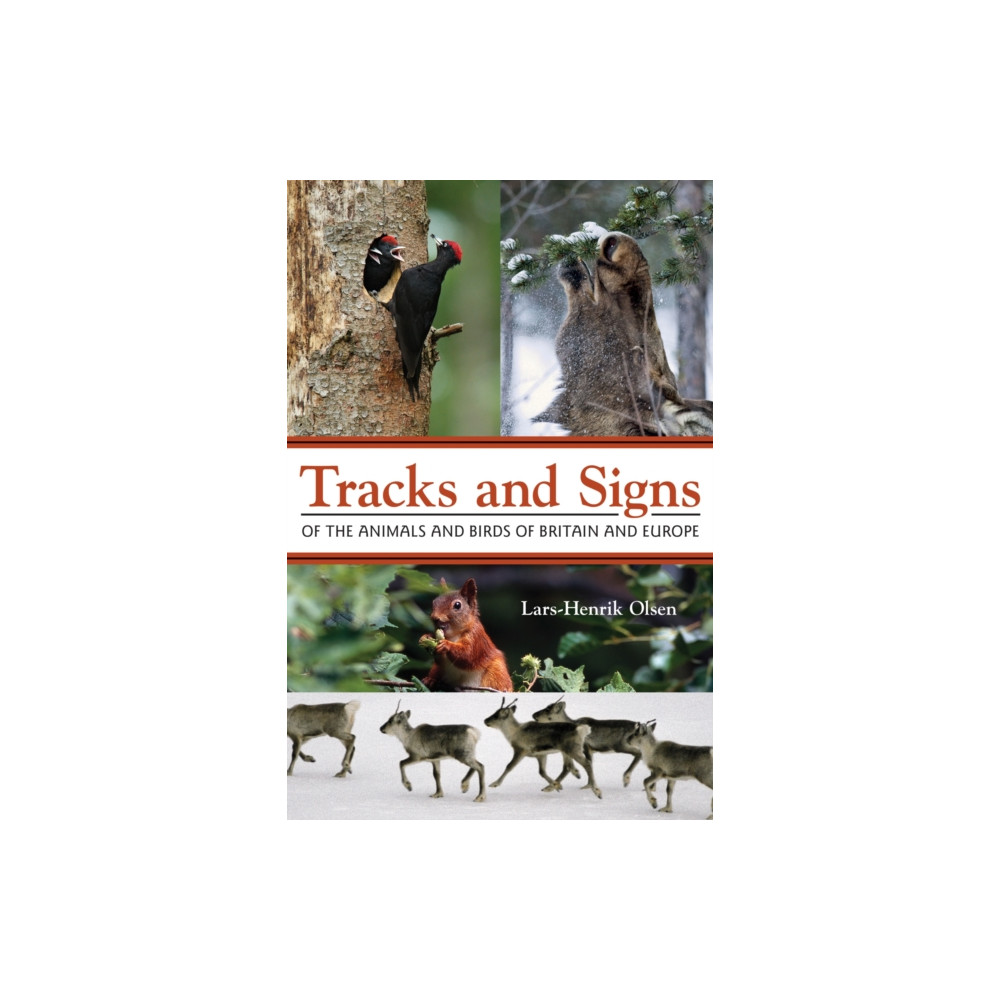 Tracks and Signs of the Animals and Birds of Britain and Europe (häftad, english) Princeton University Press