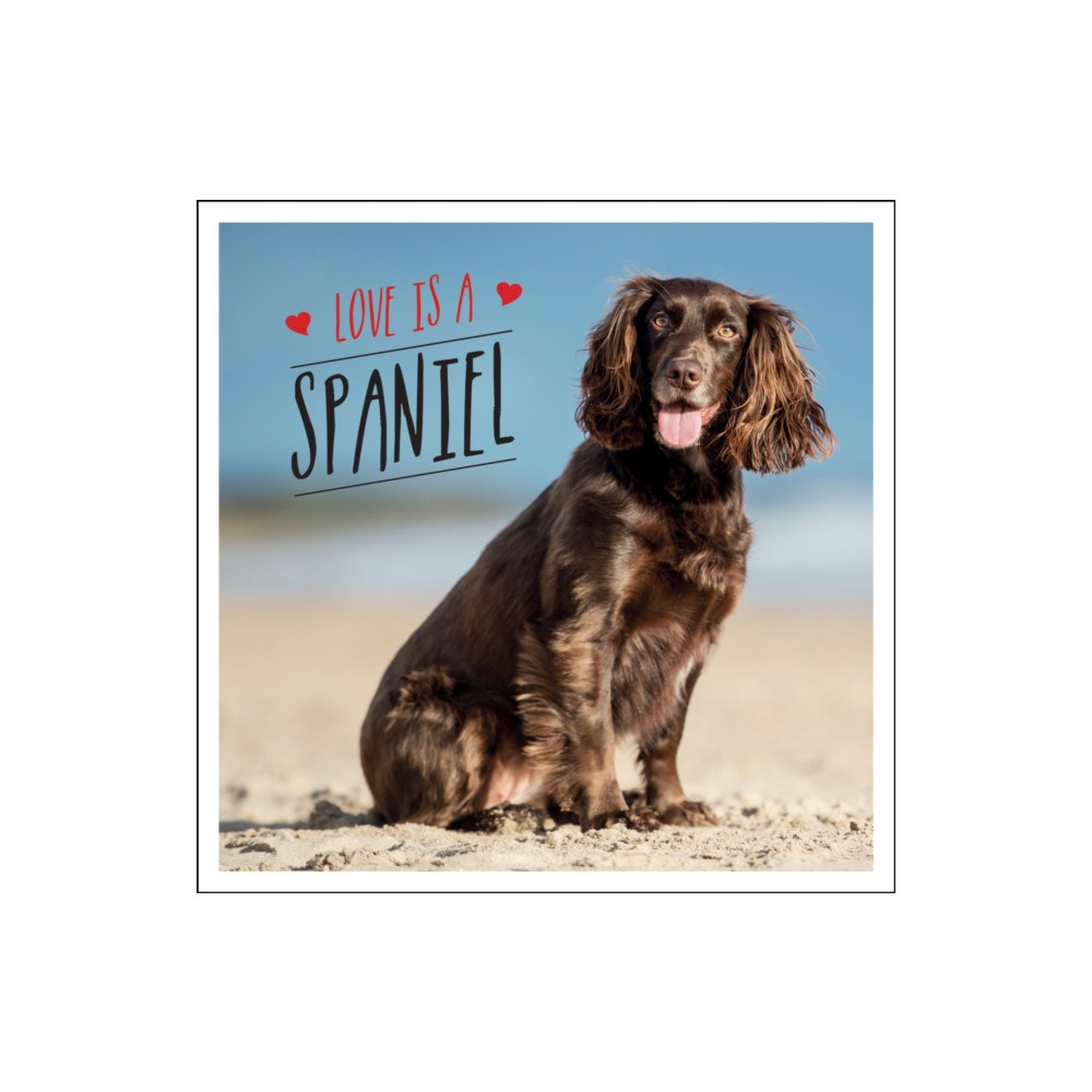 Love is a Spaniel (inbunden, english) Octopus publishing group