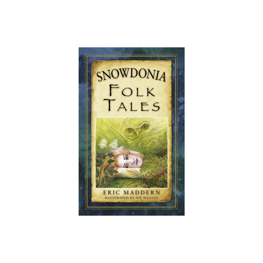Snowdonia Folk Tales (häftad, english) The History Press Ltd