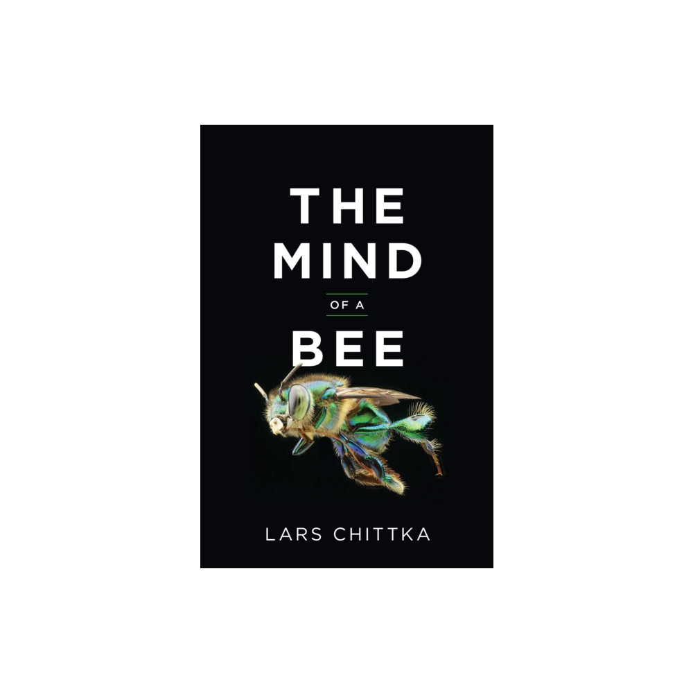 The Mind of a Bee (inbunden, english) Princeton University Press
