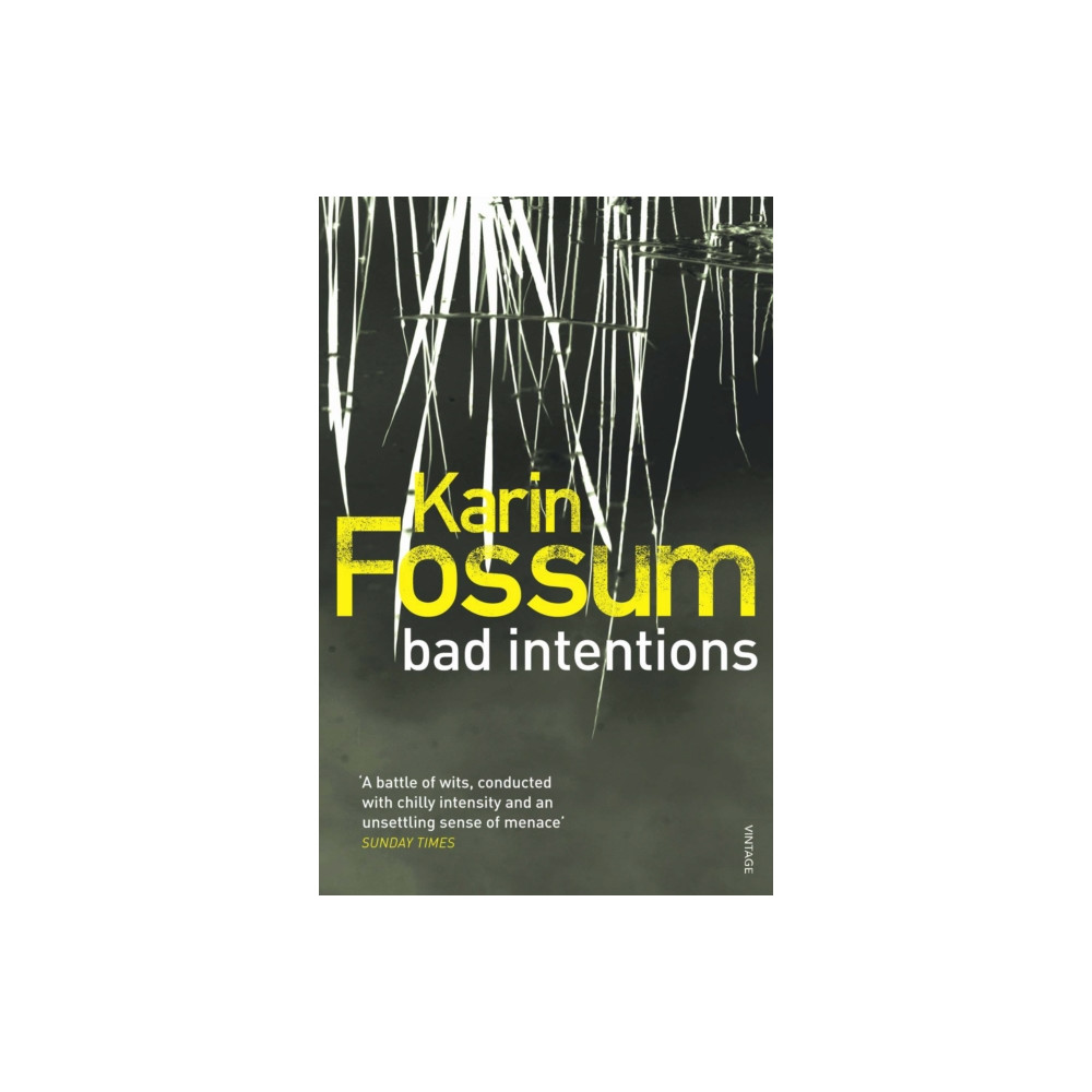 Bad Intentions (häftad, english) Vintage Publishing