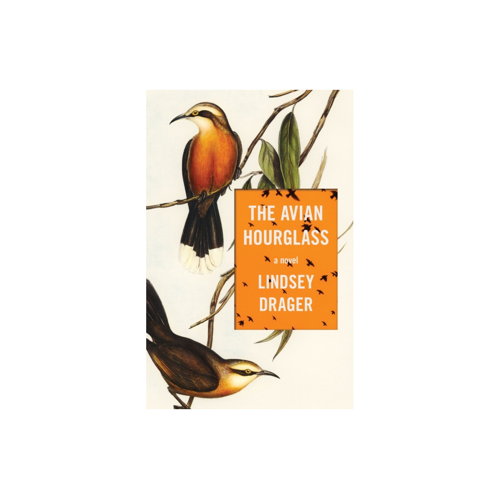 The Avian Hourglass (häftad, english) Dzanc Books