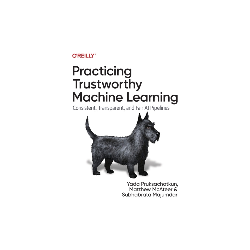 Practicing Trustworthy Machine Learning (häftad, english) O'Reilly Media