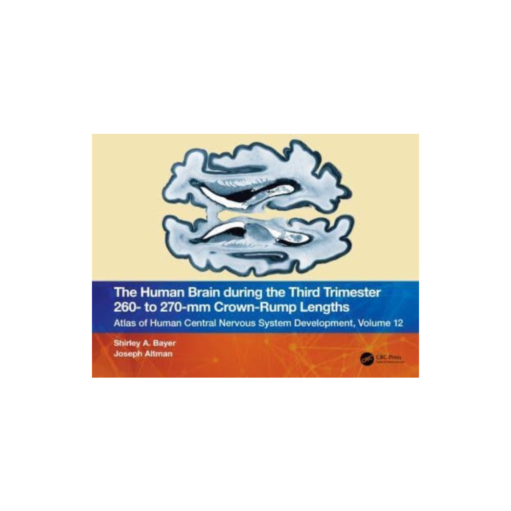 The Human Brain during the Third Trimester 260– to 270–mm Crown-Rump Lengths (häftad, english) Taylor & francis ltd