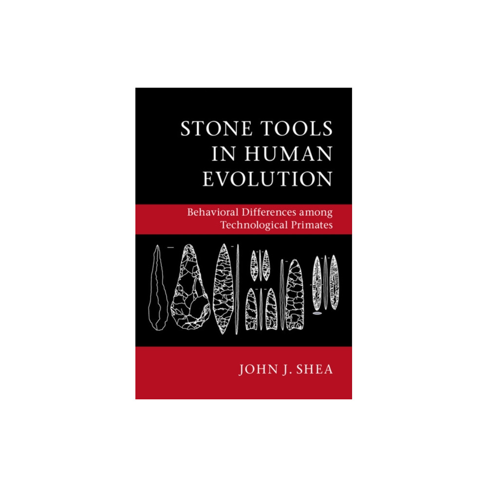 Stone Tools in Human Evolution (häftad, english) Cambridge University Press