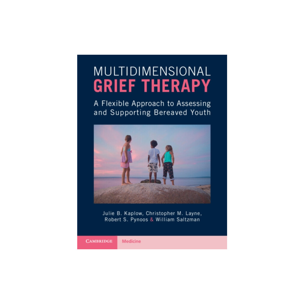 Multidimensional Grief Therapy (häftad, english) Cambridge University Press
