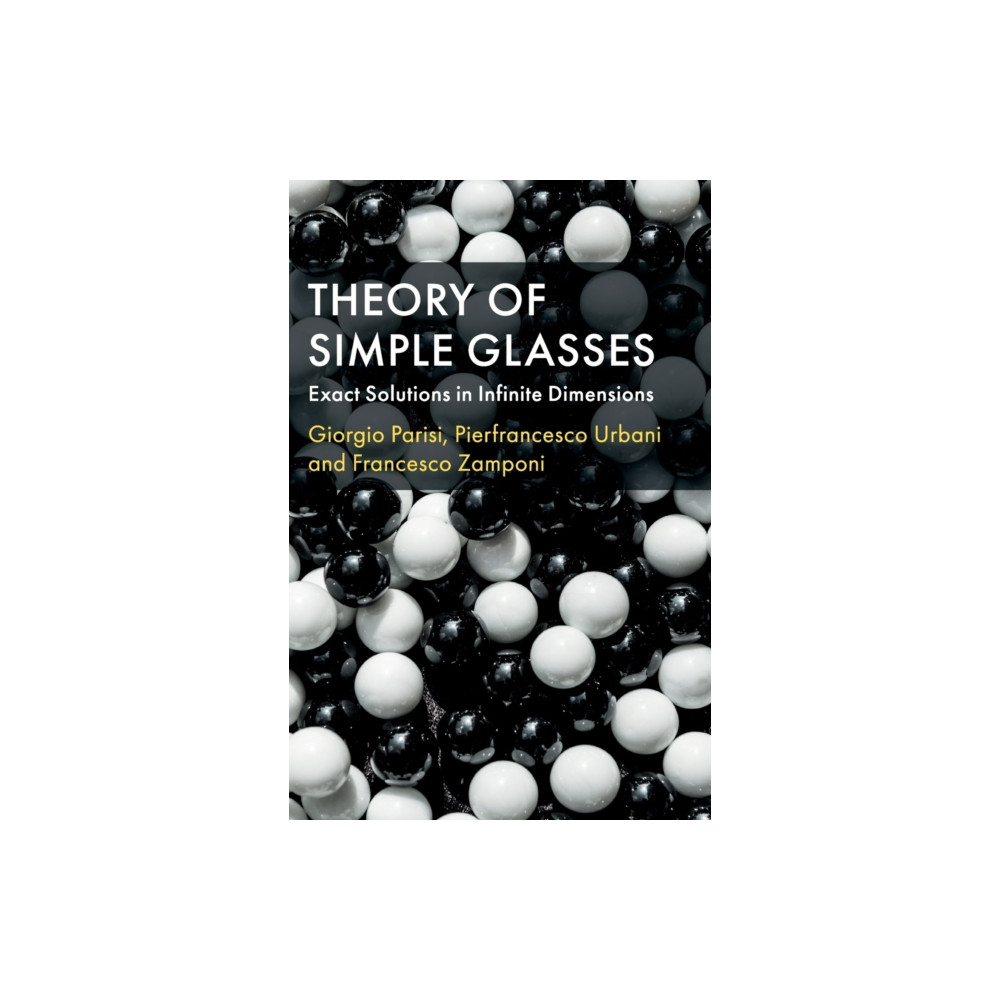 Theory of Simple Glasses (inbunden, english) Cambridge University Press