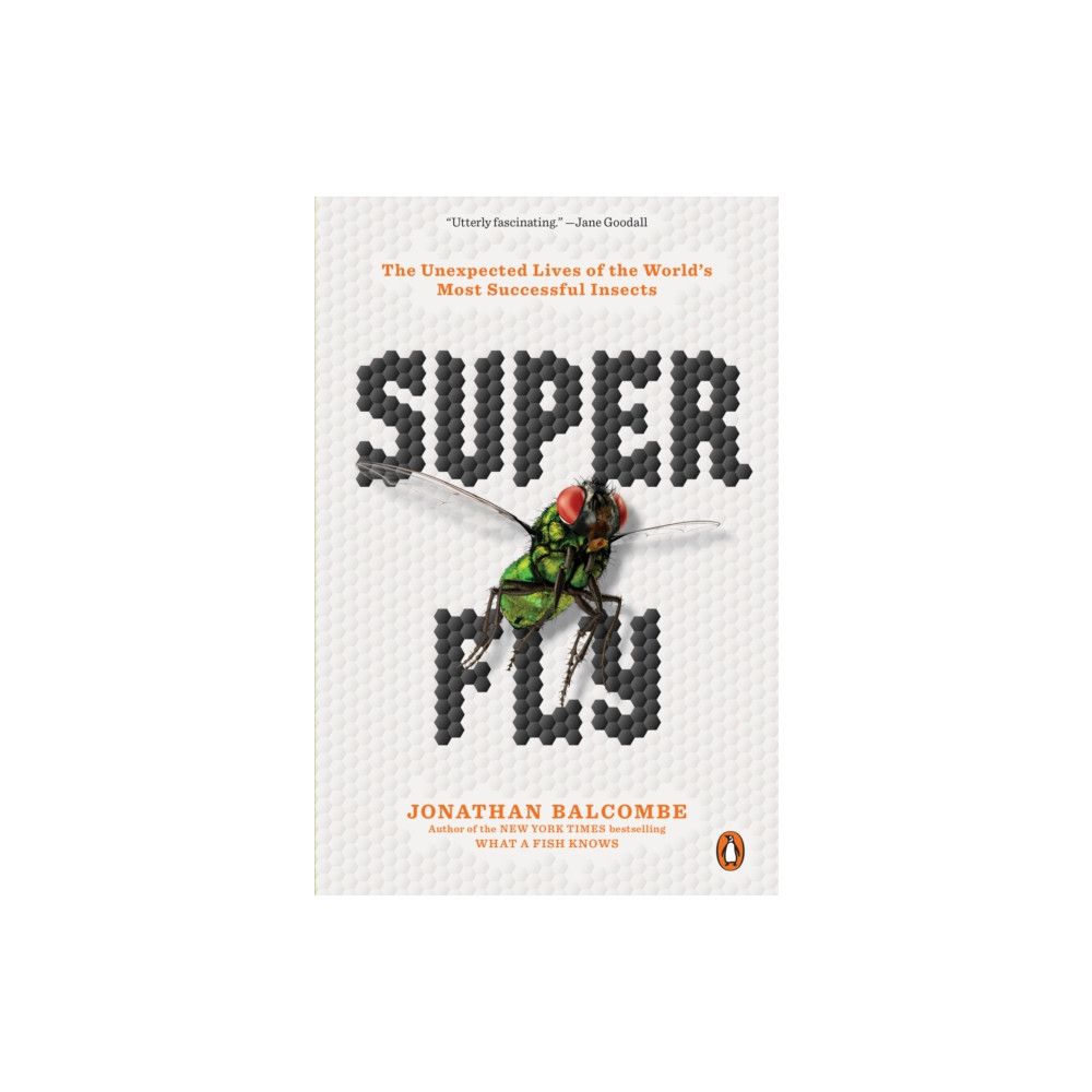 Super Fly (häftad, english) Penguin Putnam Inc
