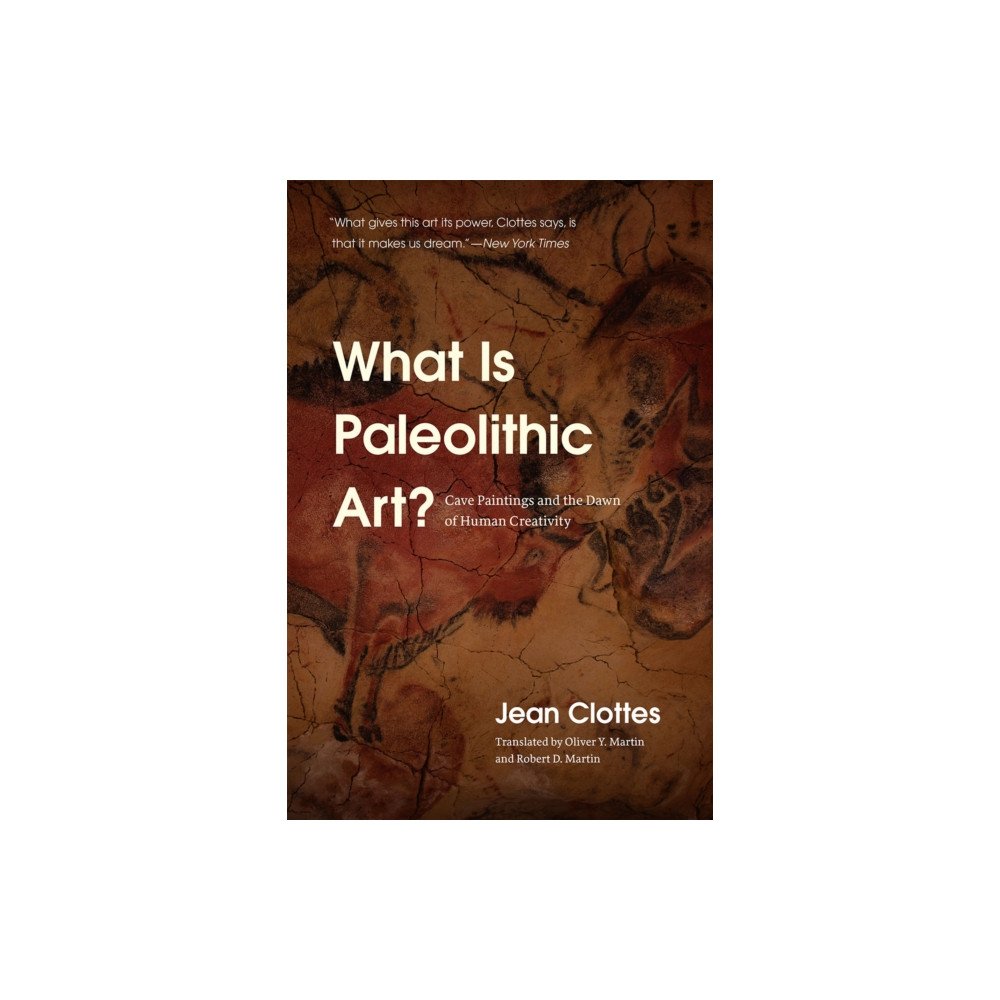 What Is Paleolithic Art? (häftad, english) The university of chicago press