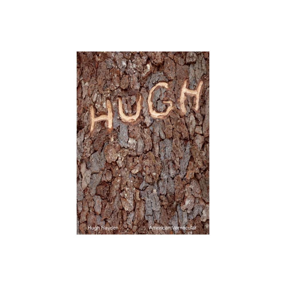 Hugh Hayden (häftad, english) Mit press ltd