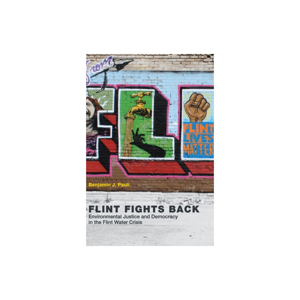 Flint Fights Back (häftad, english) Mit press ltd