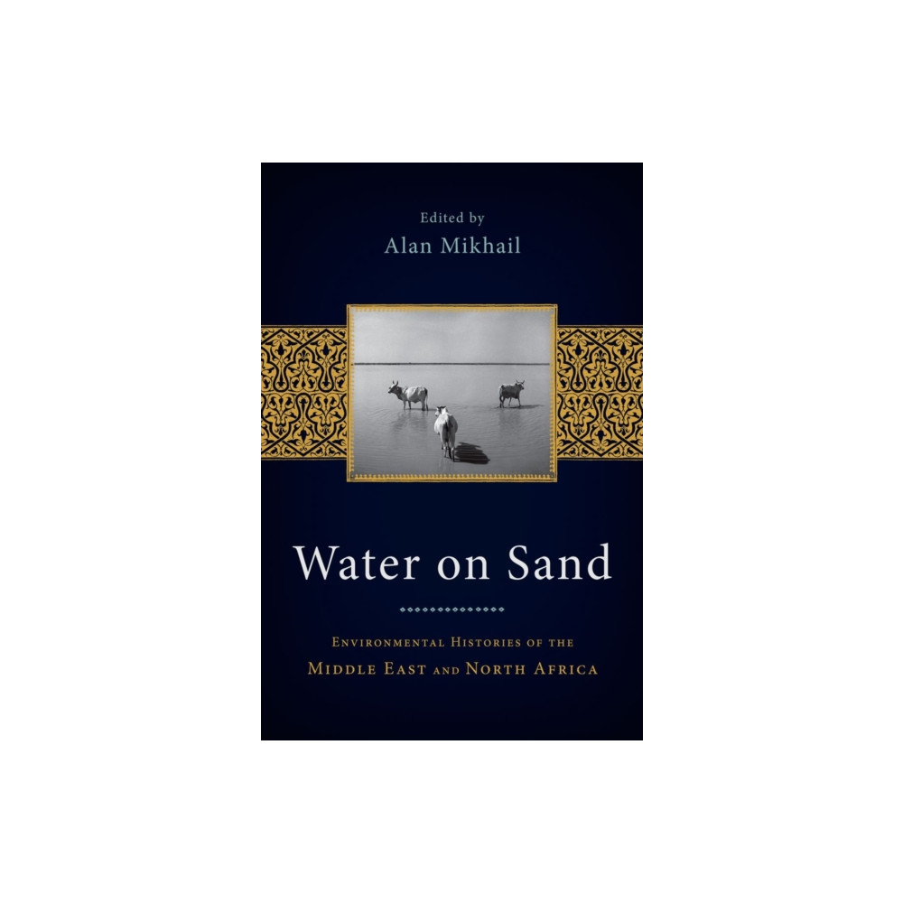 Water on Sand (häftad, english) Oxford University Press Inc